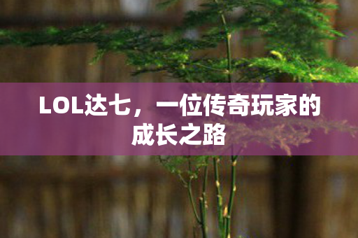 LOL达七，一位传奇玩家的成长之路