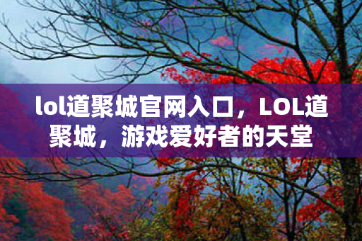 lol道聚城官网入口，LOL道聚城，游戏爱好者的天堂