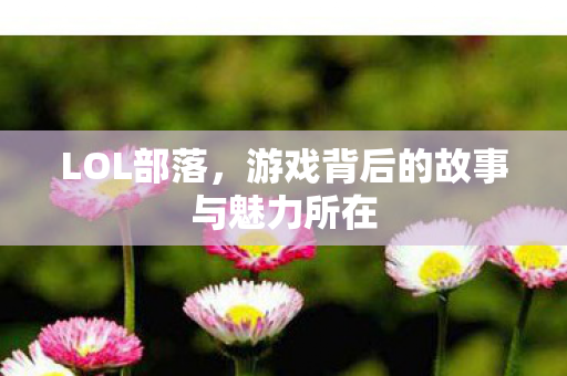 LOL部落，游戏背后的故事与魅力所在