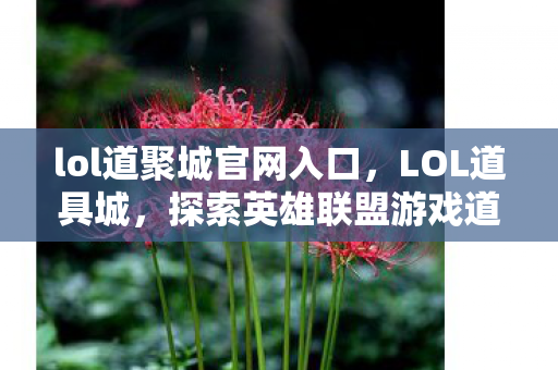 lol道聚城官网入口，LOL道具城，探索英雄联盟游戏道具的宝藏之地