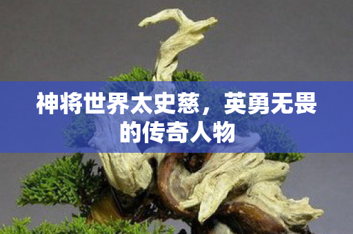 神将世界太史慈，英勇无畏的传奇人物