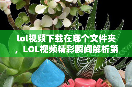 lol视频下载在哪个文件夹，LOL视频精彩瞬间解析第178期，英雄与战术的完美结合