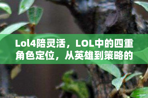 Lol4陪灵活，LOL中的四重角色定位，从英雄到策略的新解析