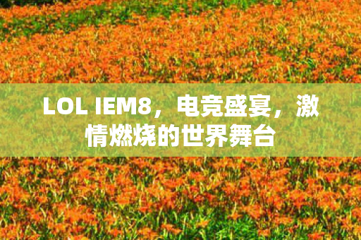 LOL IEM8，电竞盛宴，激情燃烧的世界舞台