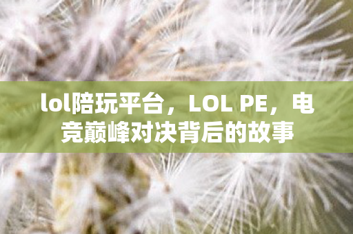 lol陪玩平台，LOL PE，电竞巅峰对决背后的故事