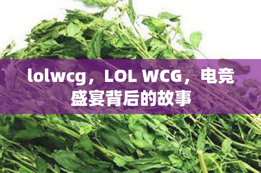 lolwcg，LOL WCG，电竞盛宴背后的故事