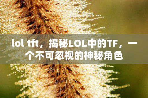 lol tft，揭秘LOL中的TF，一个不可忽视的神秘角色