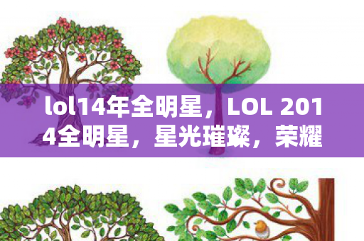 lol14年全明星，LOL 2014全明星，星光璀璨，荣耀之战