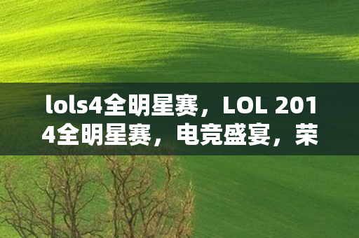lols4全明星赛，LOL 2014全明星赛，电竞盛宴，荣耀之战
