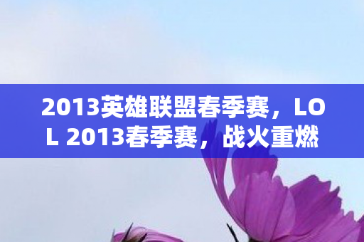2013英雄联盟春季赛，LOL 2013春季赛，战火重燃，英雄争霸