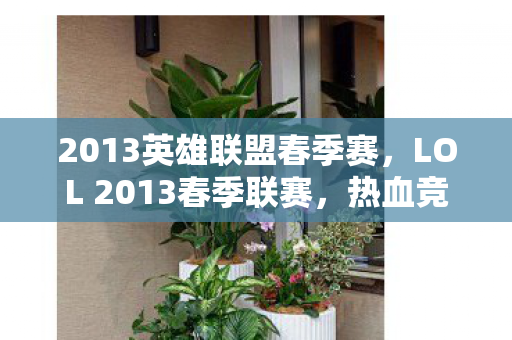 2013英雄联盟春季赛，LOL 2013春季联赛，热血竞技，荣耀之战