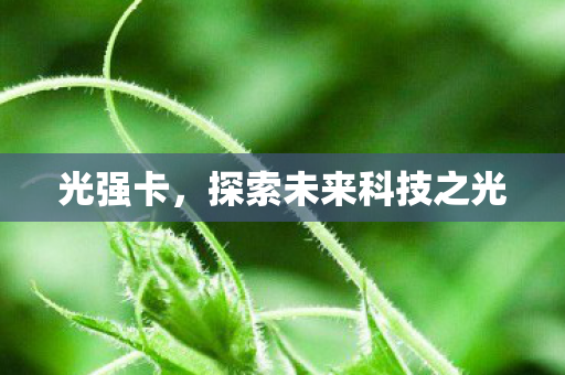 光强卡，探索未来科技之光