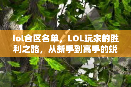 lol合区名单，LOL玩家的胜利之路，从新手到高手的蜕变之旅