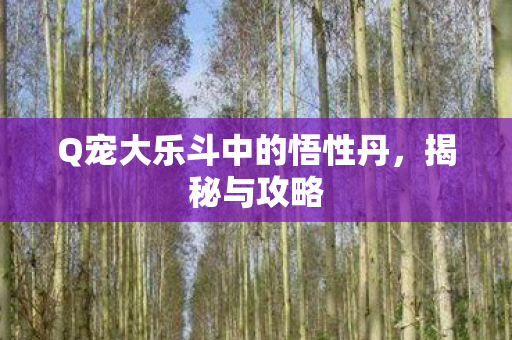 Q宠大乐斗中的悟性丹,揭秘与攻略 Q宠大乐斗中的悟性丹,揭秘与攻略