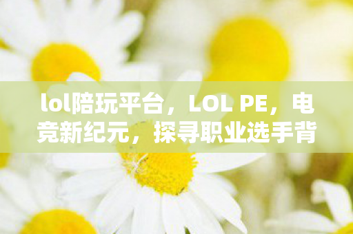 lol陪玩平台，LOL PE，电竞新纪元，探寻职业选手背后的故事