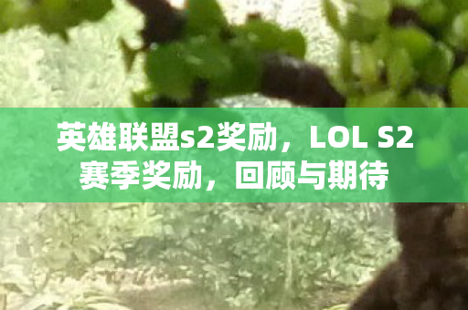 英雄联盟s2奖励，LOL S2赛季奖励，回顾与期待