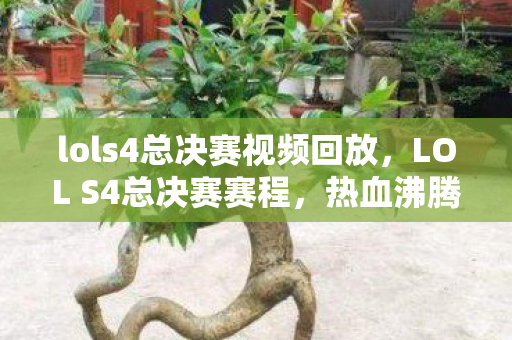 lols4总决赛视频回放，LOL S4总决赛赛程，热血沸腾的战斗盛宴