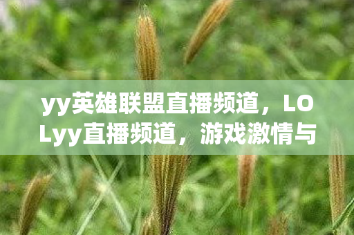 yy英雄联盟直播频道，LOLyy直播频道，游戏激情与互动乐趣的聚集地