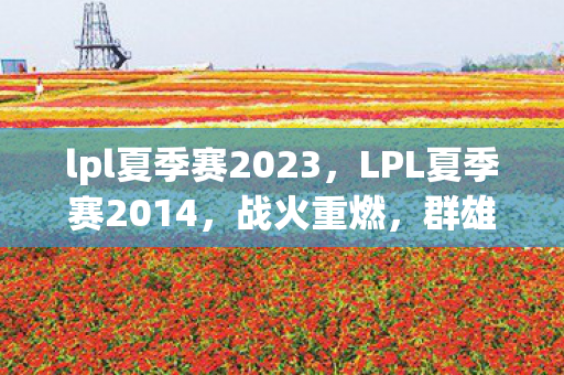 lpl夏季赛2023，LPL夏季赛2014，战火重燃，群雄逐鹿
