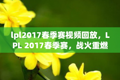 lpl2017春季赛视频回放，LPL 2017春季赛，战火重燃，群雄逐鹿
