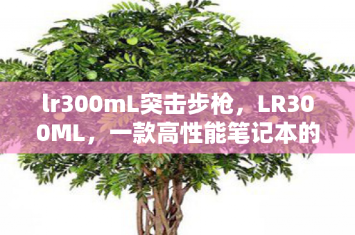 lr300mL突击步枪，LR300ML，一款高性能笔记本的内存升级秘籍