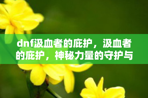 dnf汲血者的庇护，汲血者的庇护，神秘力量的守护与探寻