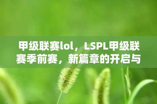 甲级联赛lol，LSPL甲级联赛季前赛，新篇章的开启与热血竞技的序幕