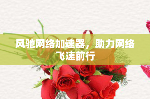 风驰网络加速器，助力网络飞速前行