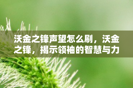 沃金之锋声望怎么刷，沃金之锋，揭示领袖的智慧与力量