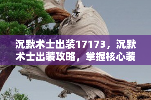 沉默术士出装17173，沉默术士出装攻略，掌握核心装备，让你在游戏中独领风骚！