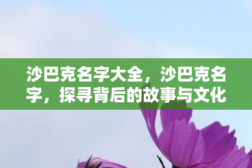 沙巴克名字大全，沙巴克名字，探寻背后的故事与文化内涵