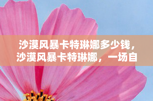 沙漠风暴卡特琳娜多少钱，沙漠风暴卡特琳娜，一场自然与人类的较量