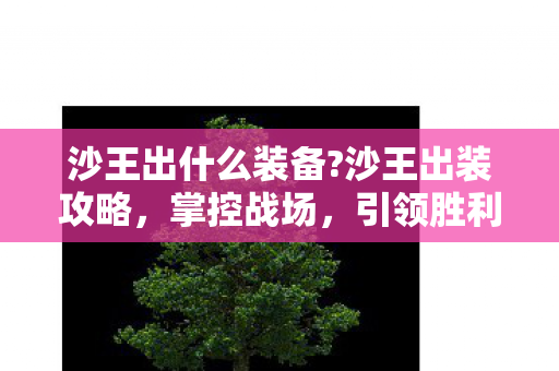 沙王出什么装备?沙王出装攻略，掌控战场，引领胜利的装备搭配