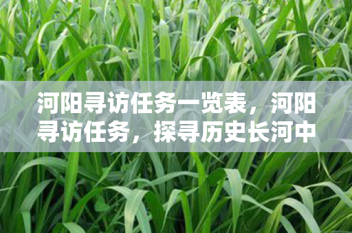 河阳寻访任务一览表，河阳寻访任务，探寻历史长河中的文化瑰宝