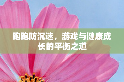 跑跑防沉迷，游戏与健康成长的平衡之道