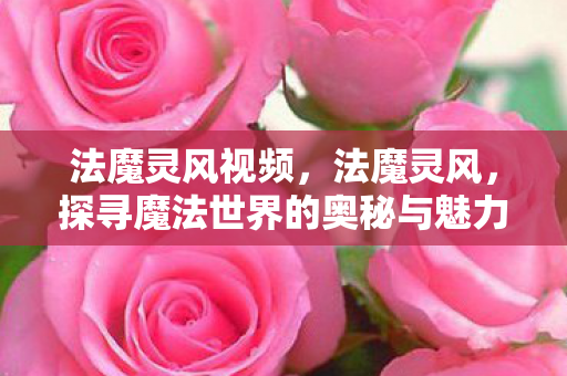 法魔灵风视频，法魔灵风，探寻魔法世界的奥秘与魅力