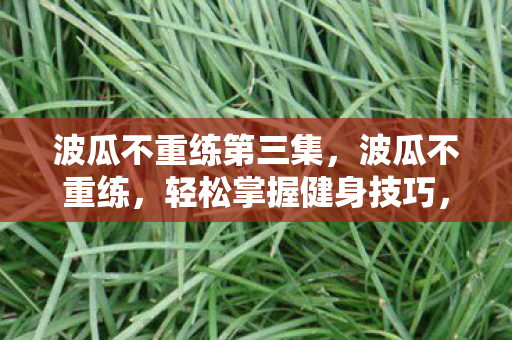波瓜不重练第三集，波瓜不重练，轻松掌握健身技巧，享受健康生活