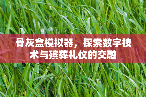 骨灰盒模拟器，探索数字技术与殡葬礼仪的交融
