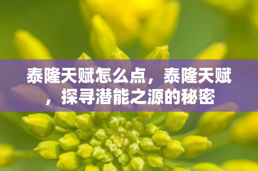 泰隆天赋怎么点，泰隆天赋，探寻潜能之源的秘密