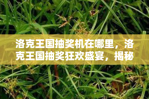 洛克王国抽奖机在哪里，洛克王国抽奖狂欢盛宴，揭秘抽奖背后的秘密与策略
