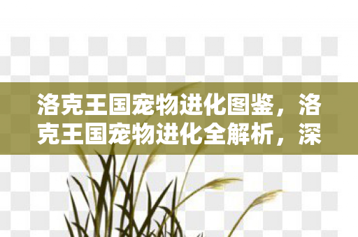 洛克王国宠物进化图鉴，洛克王国宠物进化全解析，深入了解宠物进化路线与特点