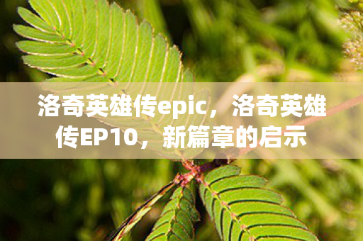 洛奇英雄传epic，洛奇英雄传EP10，新篇章的启示
