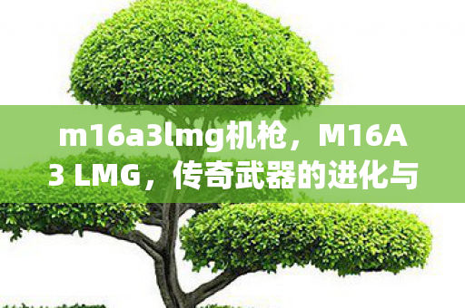 m16a3lmg机枪，M16A3 LMG，传奇武器的进化与实战应用