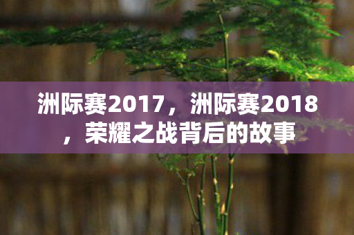 洲际赛2017，洲际赛2018，荣耀之战背后的故事