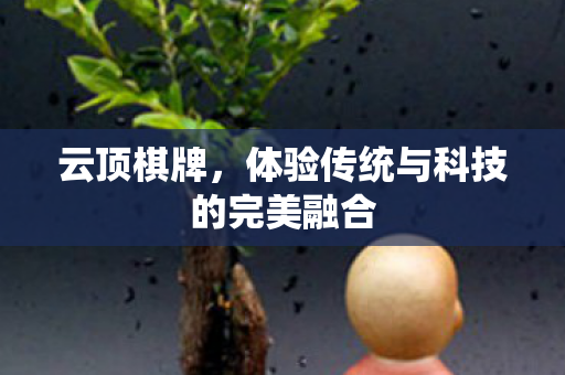 云顶棋牌,体验传统与科技的完美融合 云顶棋牌,体验传统与科技的完美融合