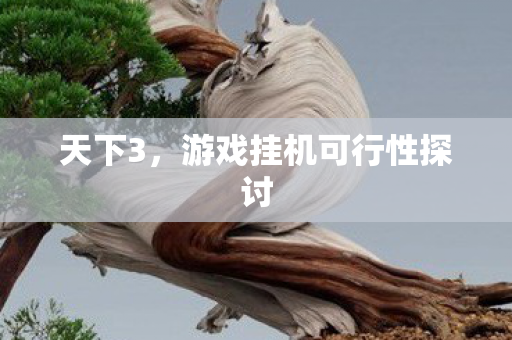 天下3，游戏挂机可行性探讨