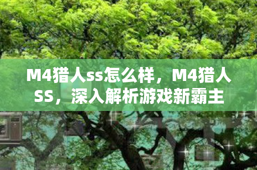 M4猎人ss怎么样，M4猎人SS，深入解析游戏新霸主
