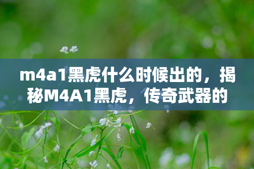 m4a1黑虎什么时候出的，揭秘M4A1黑虎，传奇武器的背后故事