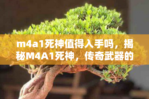 m4a1死神值得入手吗，揭秘M4A1死神，传奇武器的背后故事