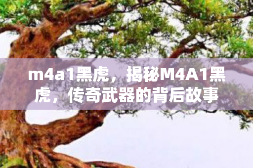 m4a1黑虎，揭秘M4A1黑虎，传奇武器的背后故事
